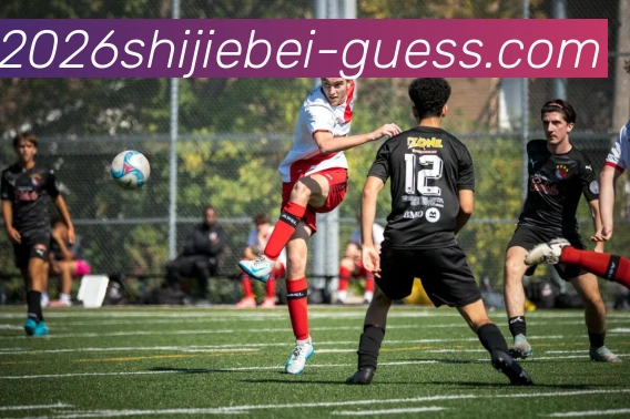 2026世界杯竞猜平台生态图